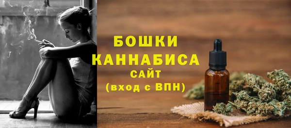 тгк Нея