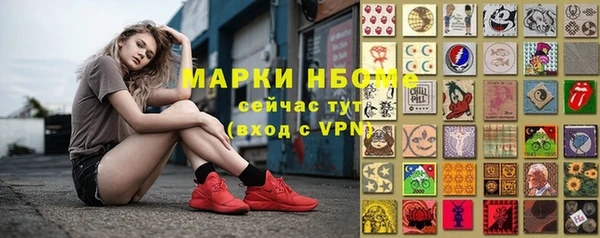 тгк Нея