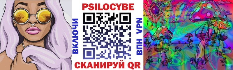 OMG вход  Приморско-Ахтарск  Псилоцибиновые грибы Cubensis 