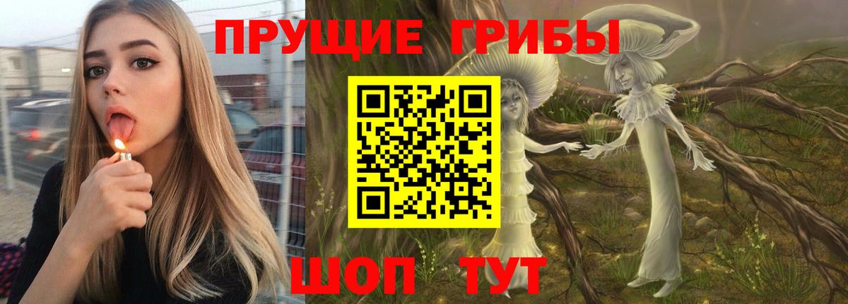 Приморско-Ахтарск  Псилоцибиновые грибы мухоморы  даркнет сайт  Вход с VPN  Галлюциногенные грибы прущие грибы 