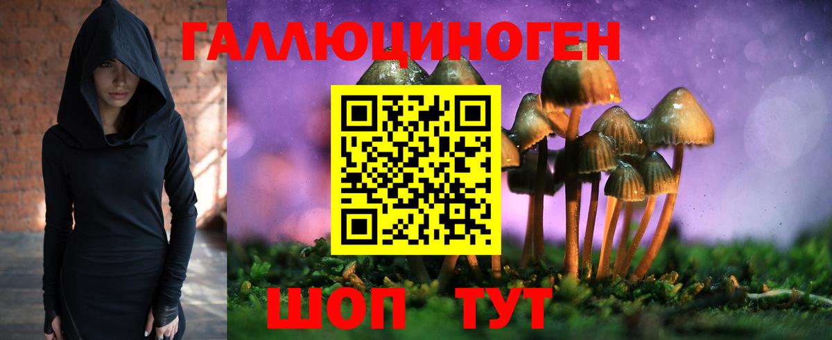 Галлюциногенные грибы Psilocybine cubensis Приморско-Ахтарск